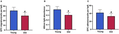 Hypofunction of Circulating Endothelial Progenitor Cells and Aggravated Severity in Elderly Male Patients With Non-ST Segment Elevation Myocardial Infarction: Its Association With Systemic Inflammation